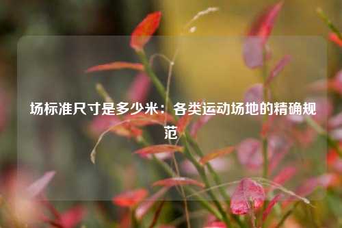  场标准尺寸是多少米：各类运动场地的精确规范