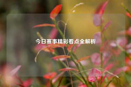 今日赛事精彩看点全解析