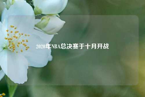2020年NBA总决赛于十月开战