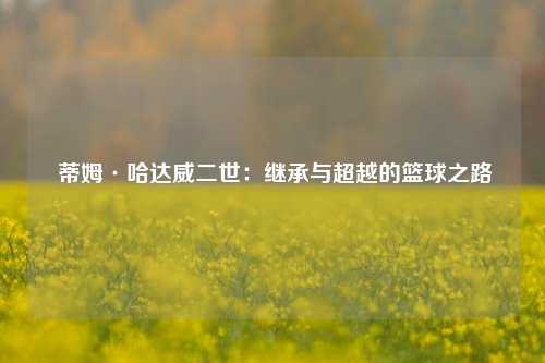 蒂姆·哈达威二世：继承与超越的篮球之路